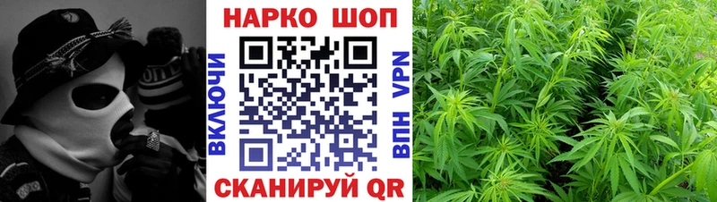 Сколько стоит Каргополь ЭКСТАЗИ Гашиш