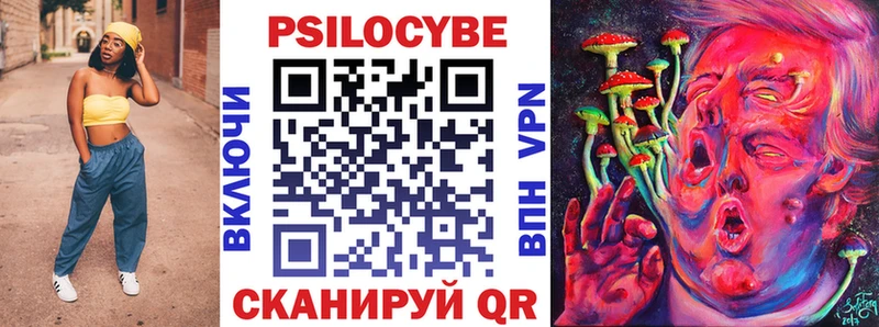 Псилоцибиновые грибы Psilocybine cubensis Каргополь